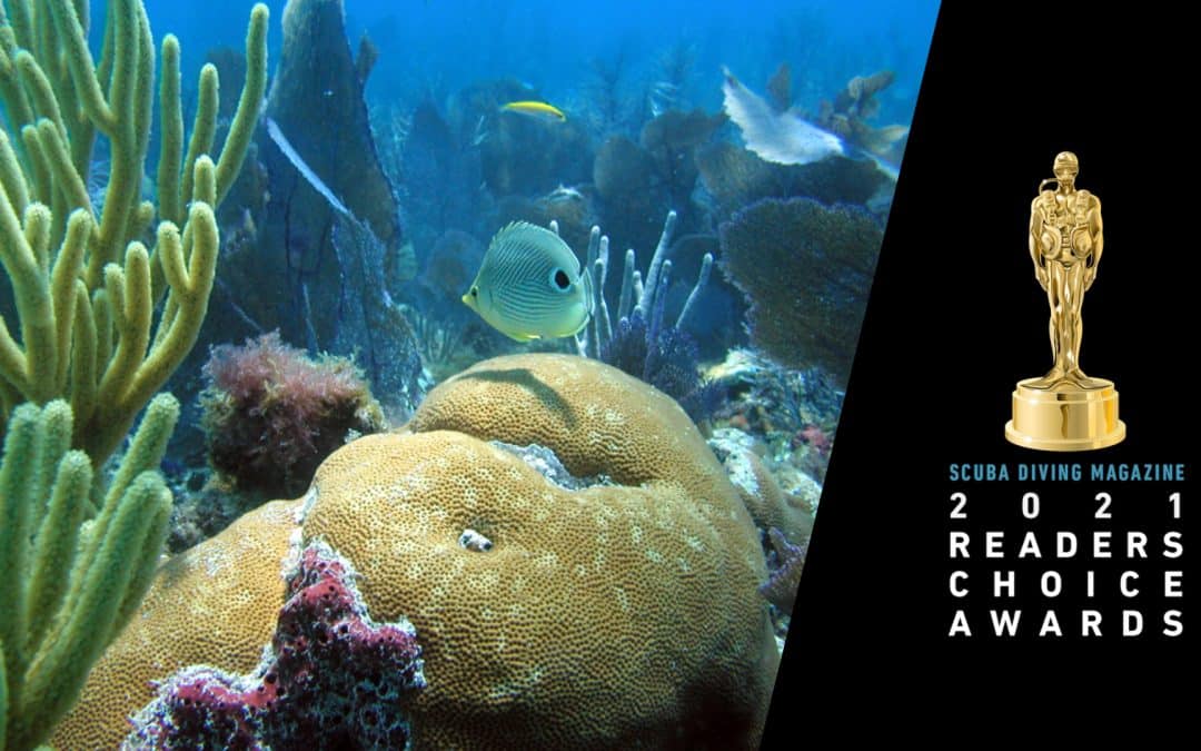 Florida and the Florida Keys Win Top Honors in the Reader’s Choice Awards