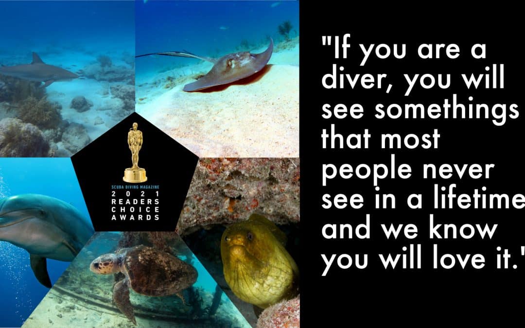 The Florida Keys is #2 in all of the United States and Canada for Big Animal Diving…2021 Reader’s Choice Awards Scuba Diving Magazine